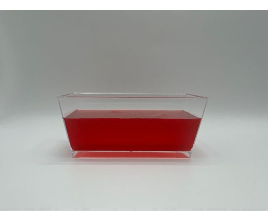 Watermelon Syrup 2.5KG